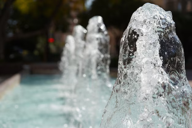 Experience the Magic: Delhi’s Pioneer Fountains Br..