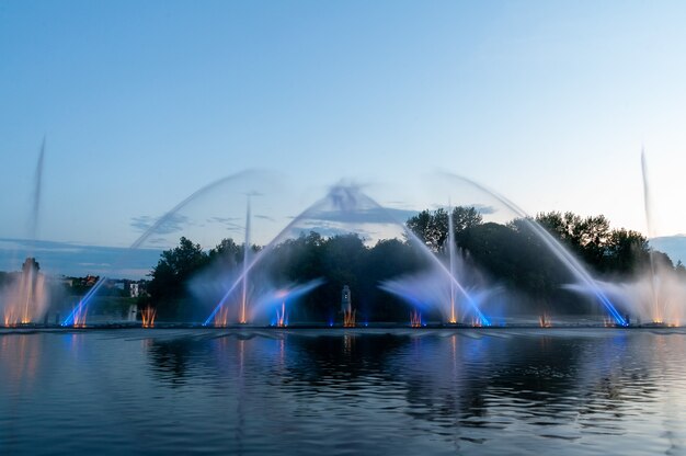 Elegance in Motion: The Top 5 Reasons Why Floating Fountains are Essential for Your Outdoor Oasis | Vipon