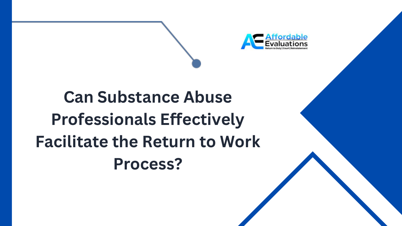Can Substance Abuse Professionals Effectively Facilitate the Return to Work Process