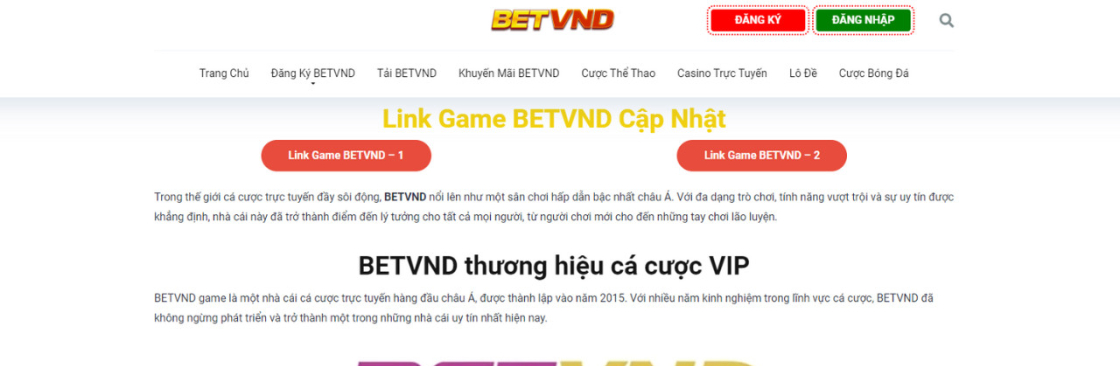 BETVND PRO Cover Image