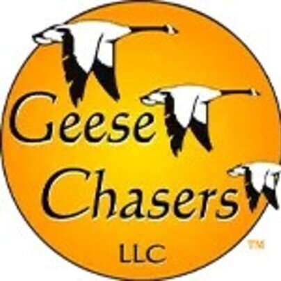 Geese Chasers profile at Startupxplore