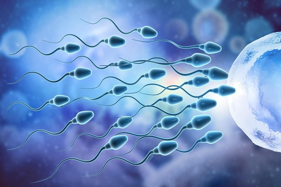 Understanding the Causes and Effective Treatment of Low Sperm Count