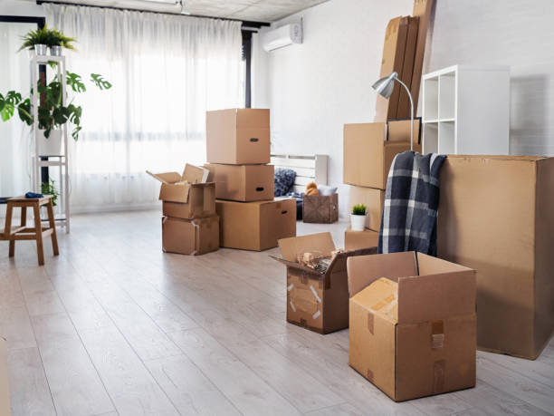 How Packers and Movers in Zirakpur Simplify Your Relocation Process: sbmoverspackers — LiveJournal