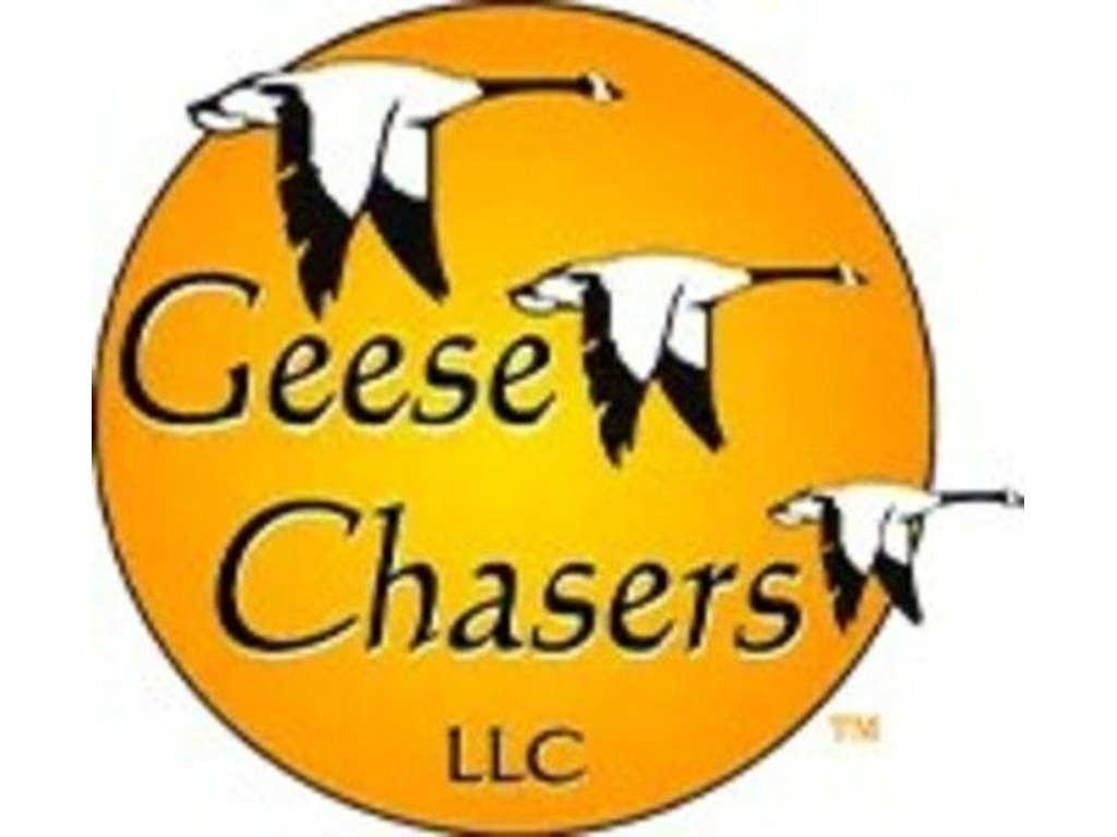 Geese Chasers: Best geese removal service in New Jersey - Other Services - Mount Laurel - New Jersey - announcement-543875