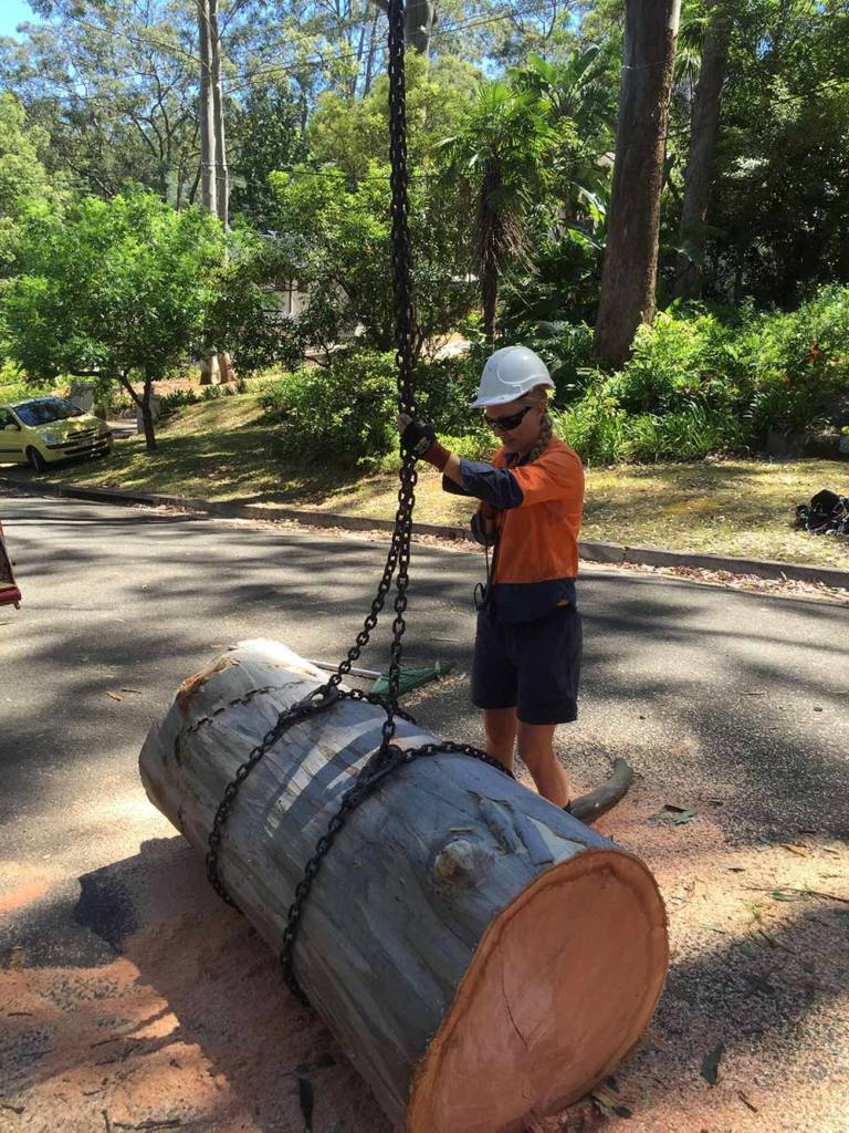 24 Hr Emergency Tree Removal Services Sydney (Near You)