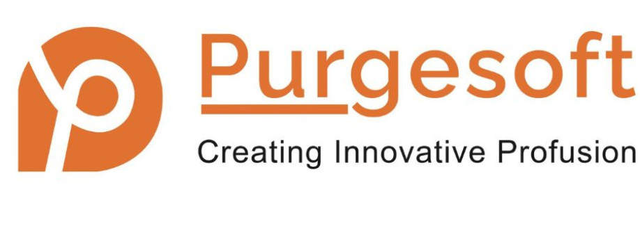 Purgesoft Software Company Cover Image