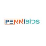 PenniBid Holdings LLC Profile Picture