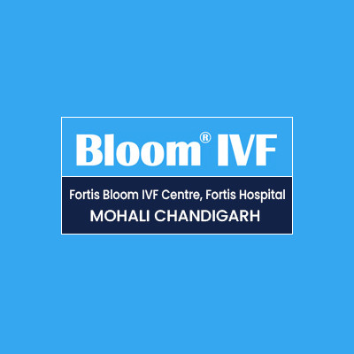 bloomivf chandigarh Profile Picture