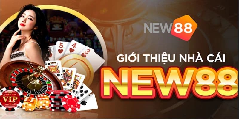 New88 địa chỉ cược trực tiếp cực chất cho tân binh 2024