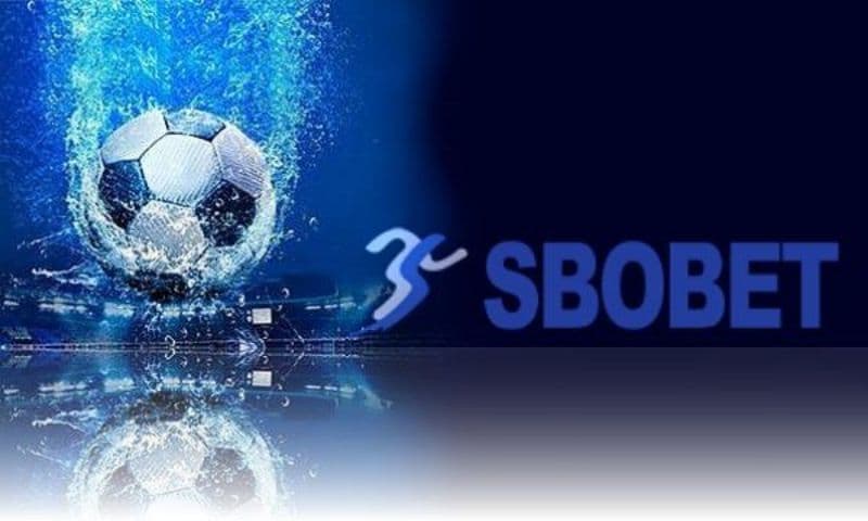 Sòng cá cược thể thao Sbobet - Nền tảng cho cá cược trực tuyến
