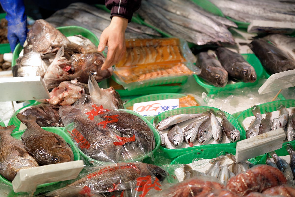How to Export Fish and Meat from India in 2024?   ..