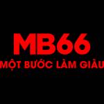 Mb66 market Profile Picture