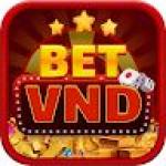 betvnd game Profile Picture