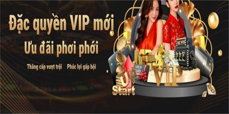 Khuyến mãi VIP - Tổng hợp những ưu đãi hấp dẫn nhất