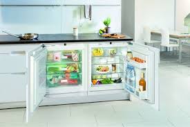 Never Ignore These Crucial Aspects When Hiring Under Bench Freezer Sydney Service Provider | TheAmberPost