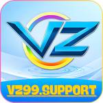 VZ99 Support Profile Picture