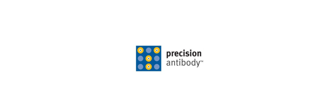 Precision Antibody Cover Image