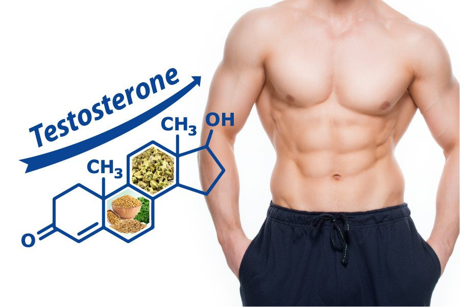 14 cách tăng testosterone nam hiệu quả