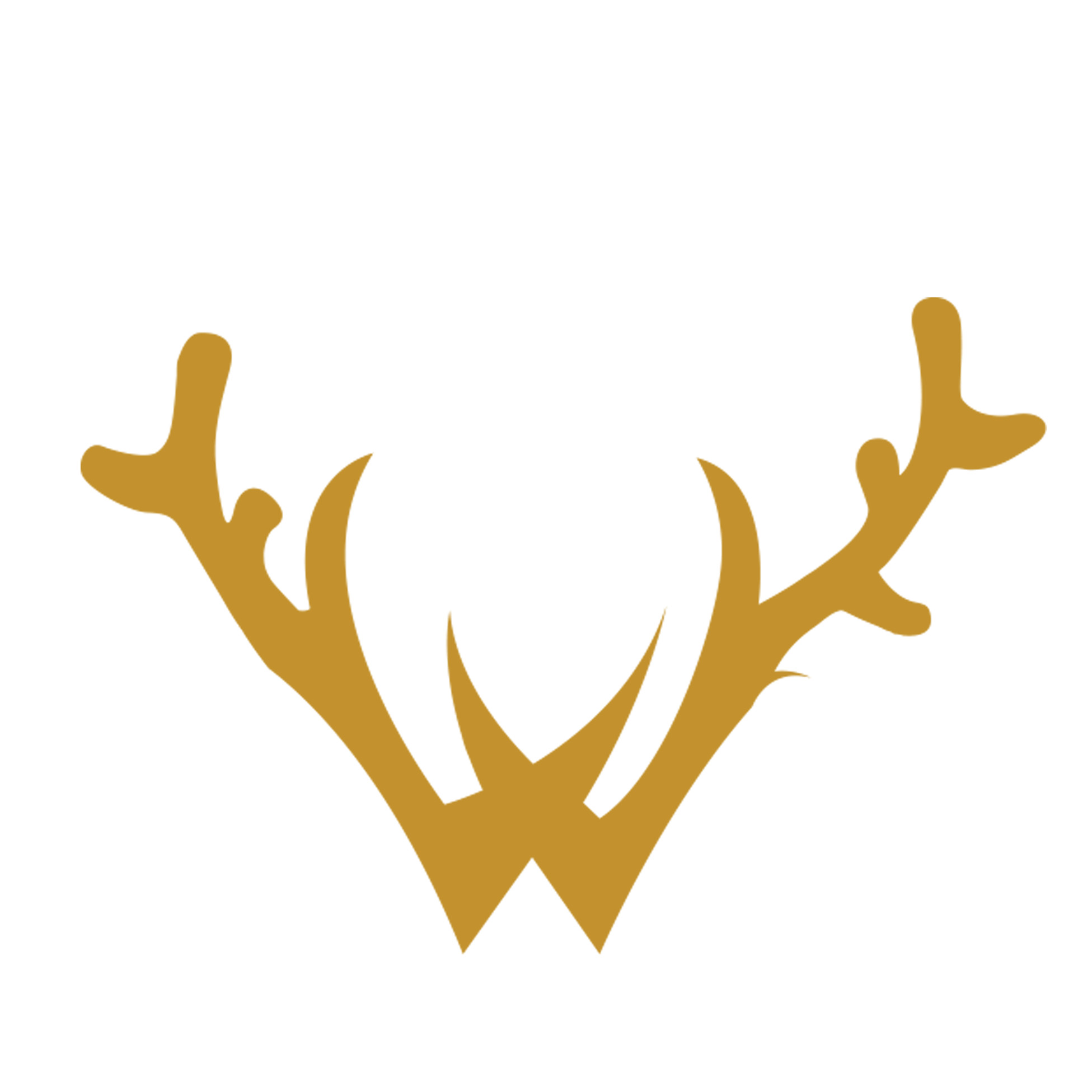 wildvoyager111 Profile Picture