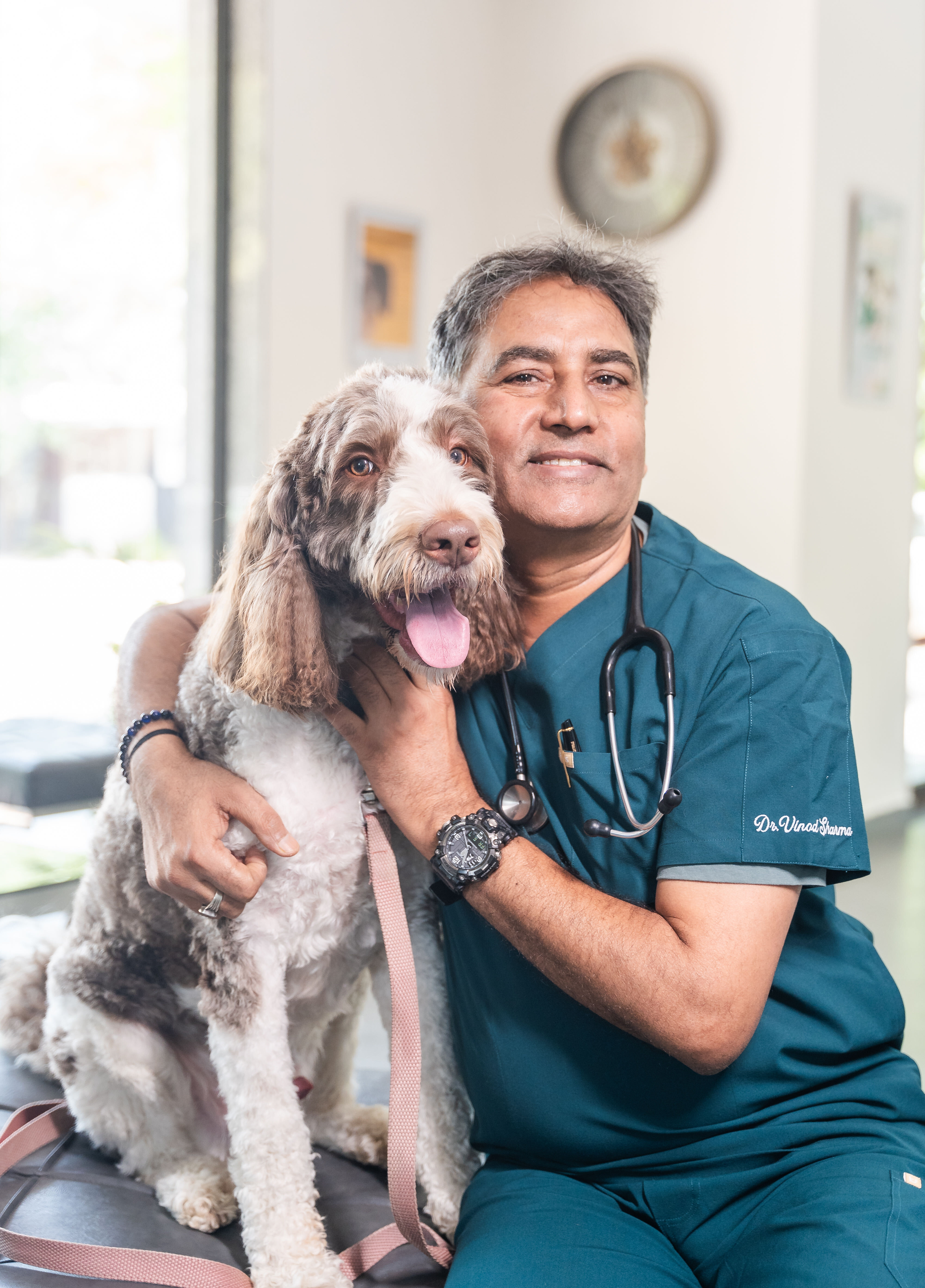 DCC Animal Hospital Profile Picture