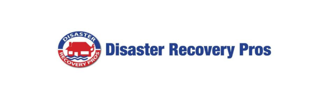 Disaster Recovery Pros Cover Image