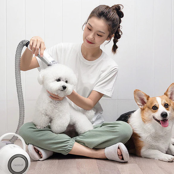 Pet cleaning supplies Profile Picture