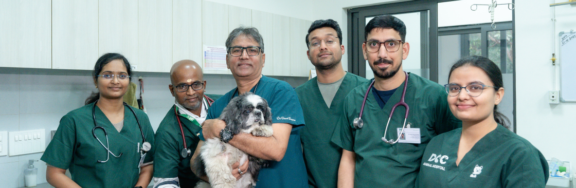 DCC Animal Hospital Cover Image