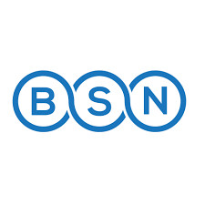 BSN Writing Services Profile Picture