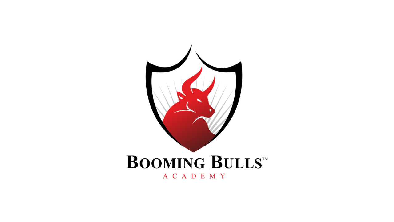 Booming Bulls Academy Profile Picture