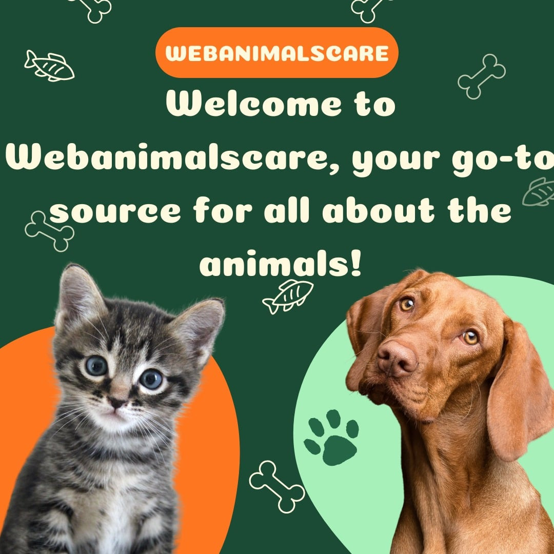 web animals Profile Picture