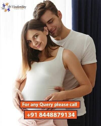 Vinsfertility.com - Best IVF & Surrogacy Treatment Centre in Delhi & Abroad Home - Vinsfertility.com