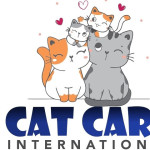 Cat Care Profile Picture