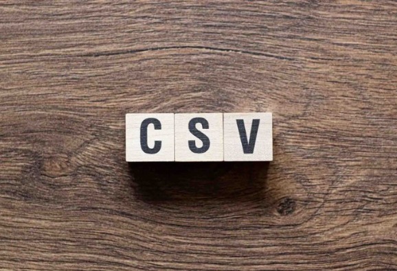 Certification vs. Non-Certification Courses in CSV: Which is Right for You? | Vipon