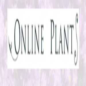 Online _Plants Profile Picture