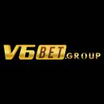 group v6bet profile picture