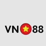 vn 88a profile picture