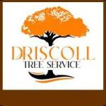 Driscoll Service profile picture