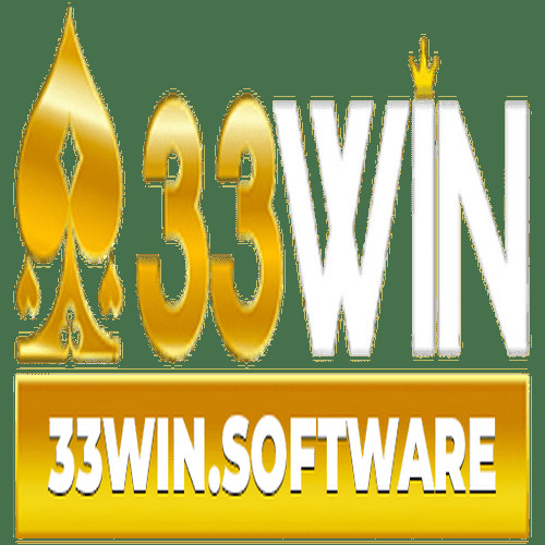 33WIN software Profile Picture