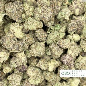 Popcorn Buds Canada | Order Bud Online