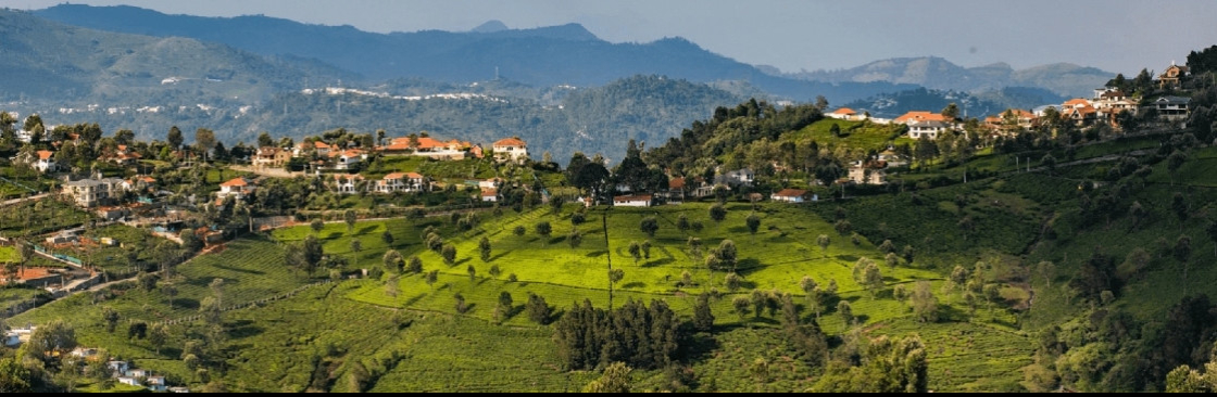 Coonoor Estates Cover Image