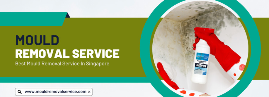 Mould Removal Service Cover Image