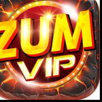 Zumvip Net Profile Picture