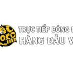 SocoliveTV Trực Tiếp Bóng Đá Profile Picture