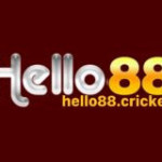 Hello88 Cricket Profile Picture