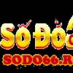 Nhà Cái SODO66 Profile Picture