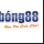 Link vào Bong88 Nhà cái uy tín Viva88 Profile Picture