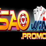 Saowin promo Profile Picture