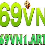 69VN Profile Picture