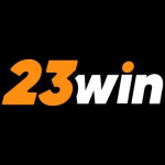 23WINtop biz Profile Picture
