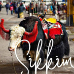 Rakesh Sharma Profile Picture